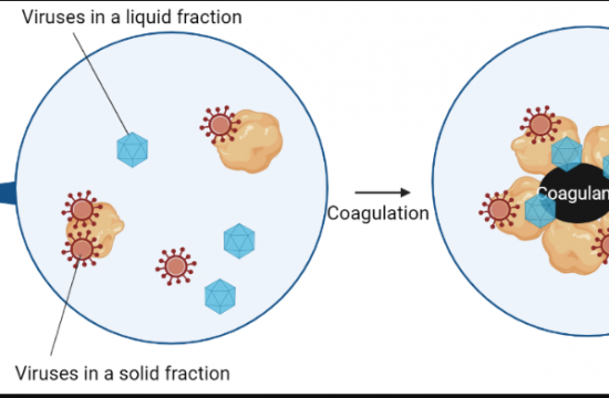 copman method