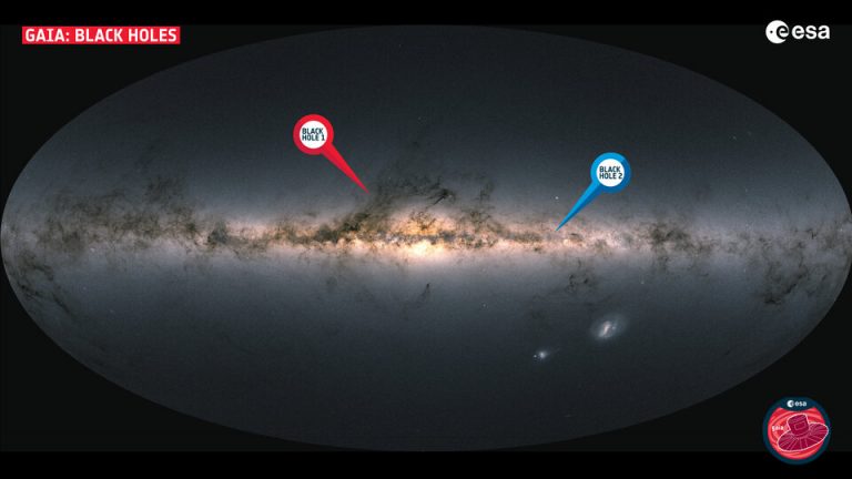 Gaia discovers a new family of black holes