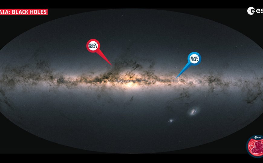 Gaia discovers a new family…