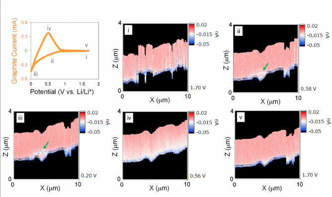 Scanning probe simultaneously captures structural and ion concentration changes