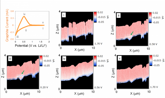 Scanning probe simultaneously captures structural and ion concentration…