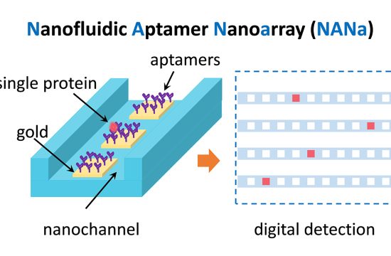 nanoflueid