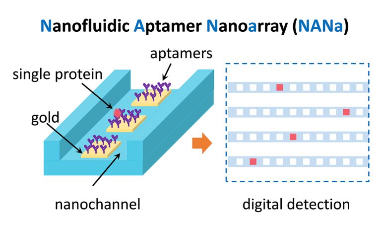 Nanofluidic device NANa measures individual proteins