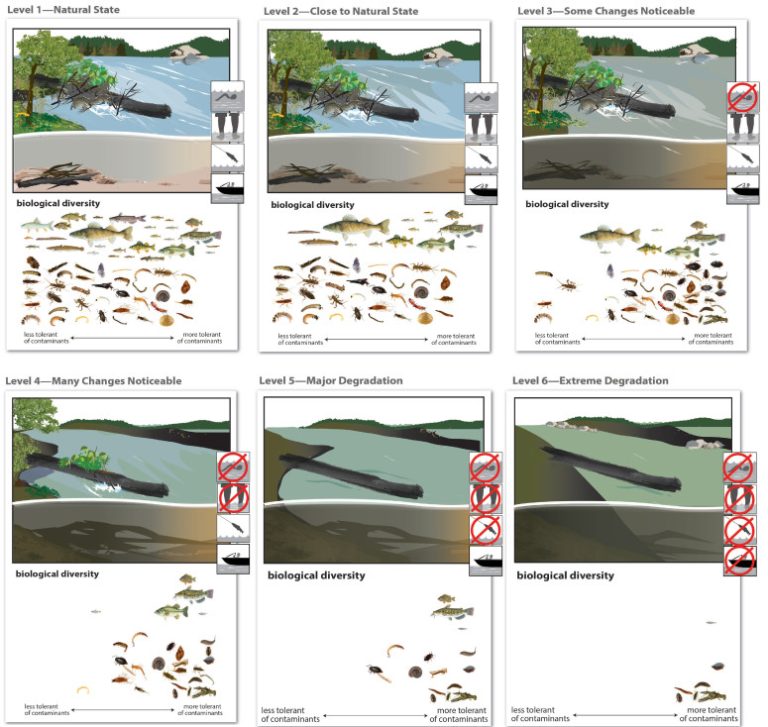 Clearer picture of watershed quality helps people put dollar values on improvements