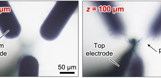 bottom electrode