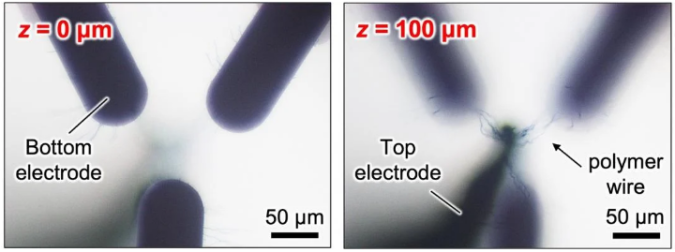 bottom electrode