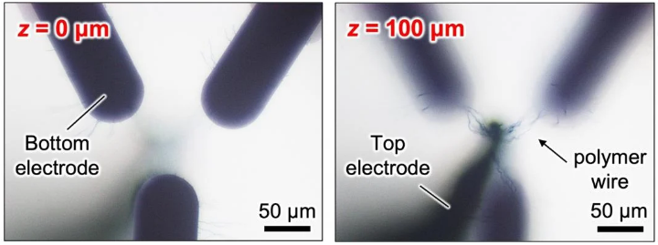 Growing bio-inspired polymer brains for artificial neural networks