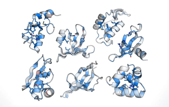 New method expertly evaluates protein folding stability on a large scale 2 protein evaluates