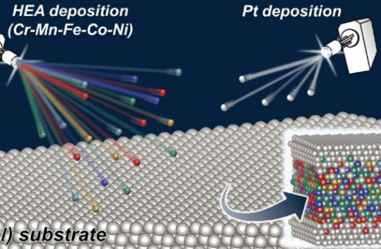 schematic illustration