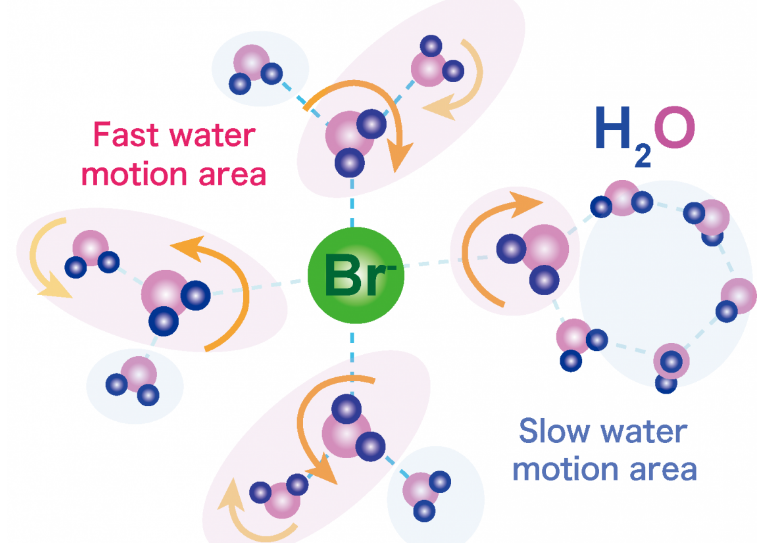 Bromide ions cause ripples in semiclathrate hydrates