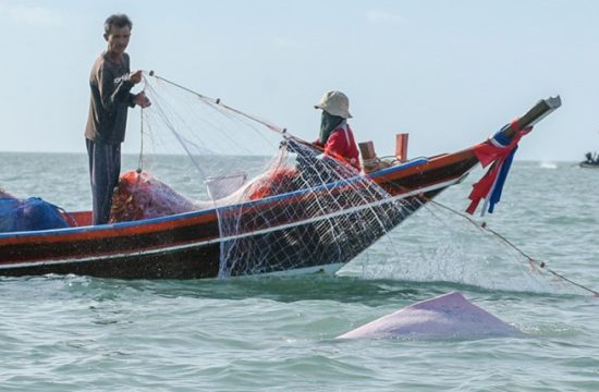 Thai bycatch grid