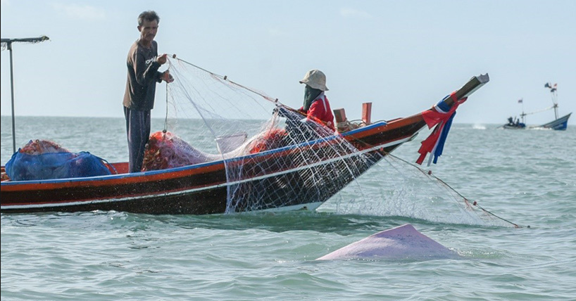 Revealing the ecological threats of small-scale fisheries in…