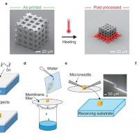3D printed micro nano structures