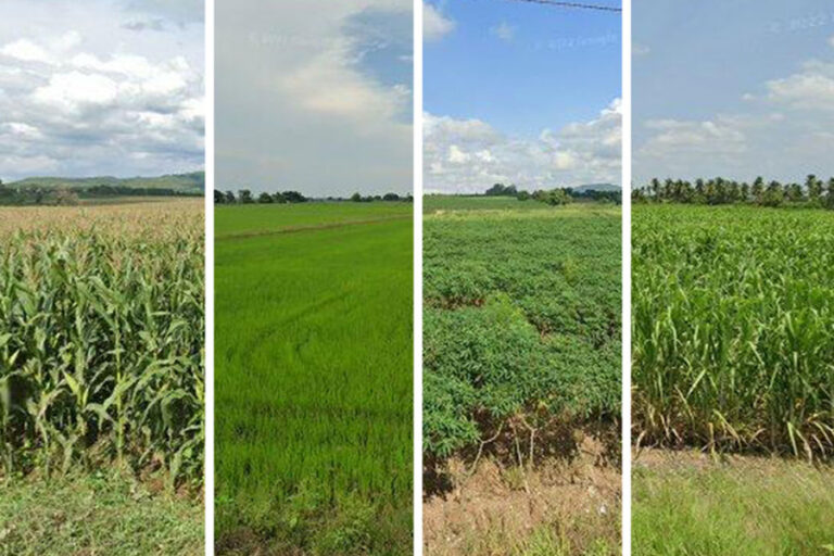 MIT researchers remotely map crops, field by field