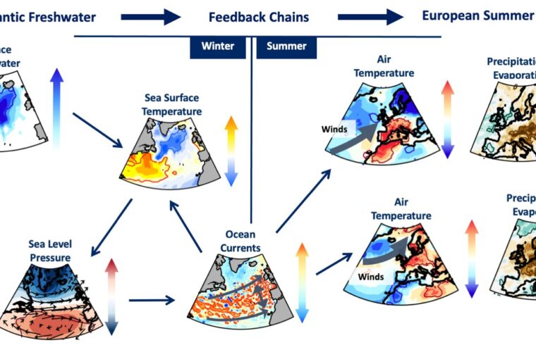 feedback chains