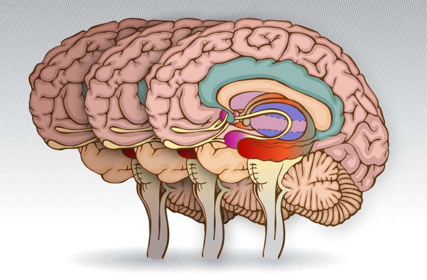 How cognition changes before dementia hits