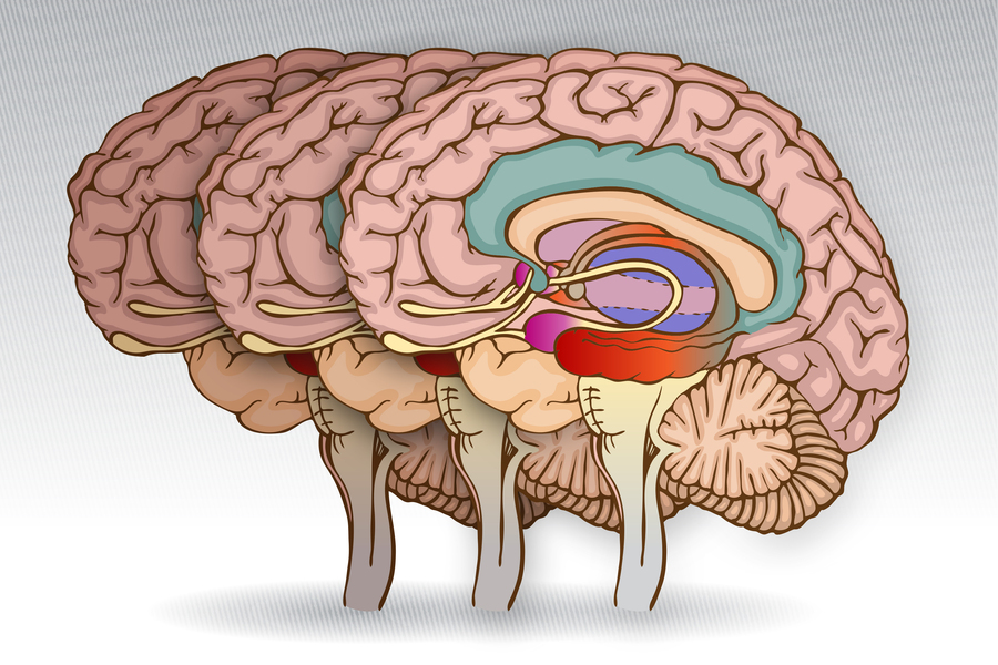 How cognition changes before dementia hits