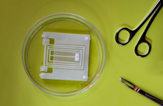 MIT engineers design soft and flexible “skeletons” for muscle-powered robots 4 MIT Muscle Flex 01 press