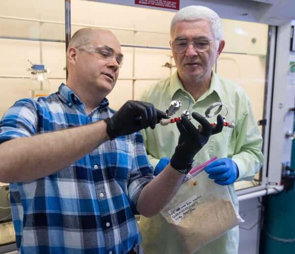 UW–Madison researchers develop better way to make painkiller from trees