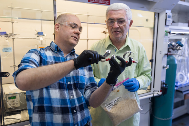 UW–Madison researchers develop better way to make painkiller from trees