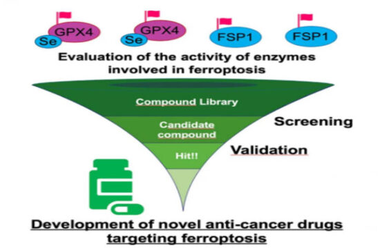 Breakthrough Test Can Evaluate Enzyme Involved in Process Associated with Cancer Cell Death 7 cancer cell