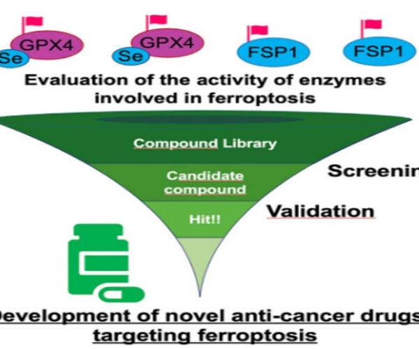 Breakthrough Test Can Evaluate Enzyme Involved in Process Associated with Cancer Cell Death