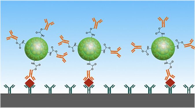 Good as Gold – Improving Infectious Disease Testing with Gold Nanoparticles