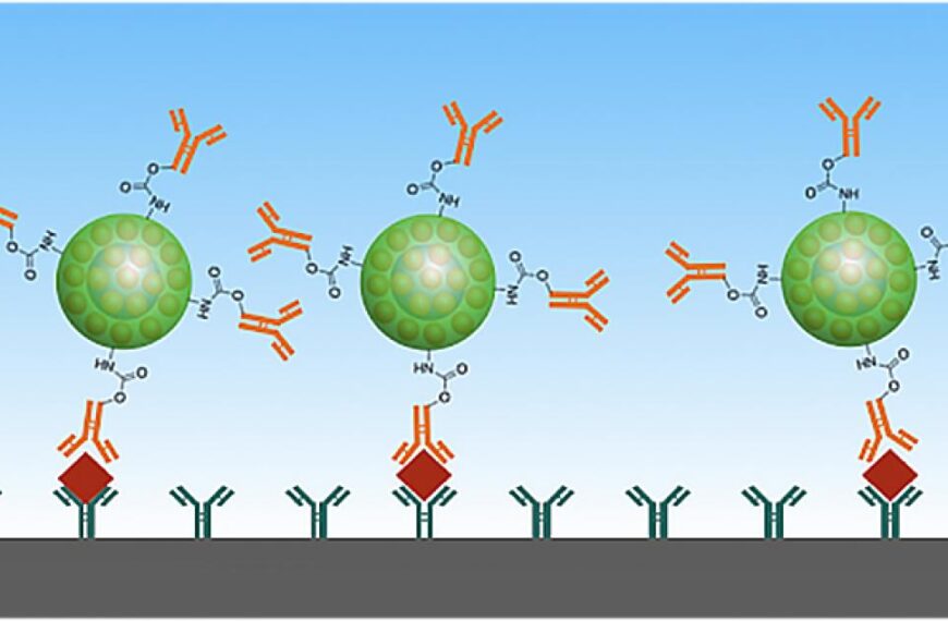 Good as Gold – Improving Infectious Disease Testing with Gold Nanoparticles