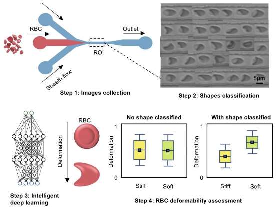 Shaping up how red blood cell deformability is assessed