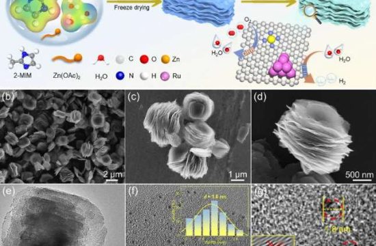 A Breakthrough in Hydrogen Catalysis: Electronic Fine-Tuning Unlocks Superior Performance 3 hydrogen catalyst