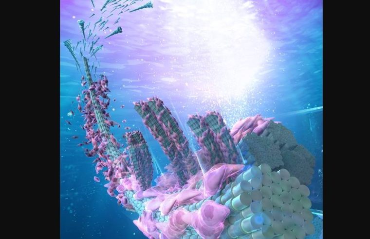 Collagen 3d printing