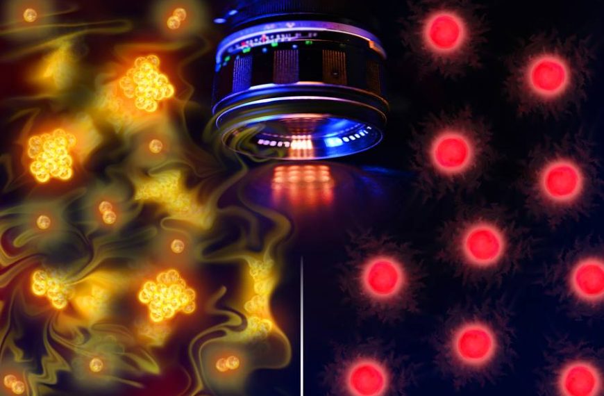 MIT physicists snap the first images of “free-range” atoms