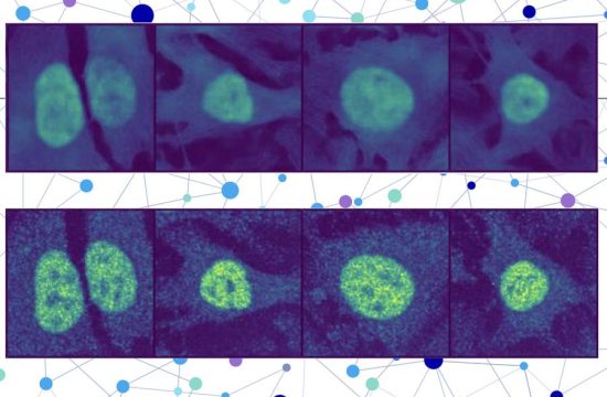 MIT ProteinLocalization 01 press 0