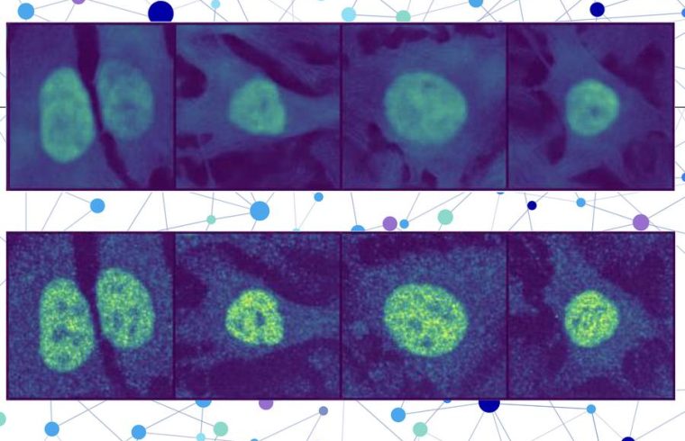 MIT ProteinLocalization 01 press 0