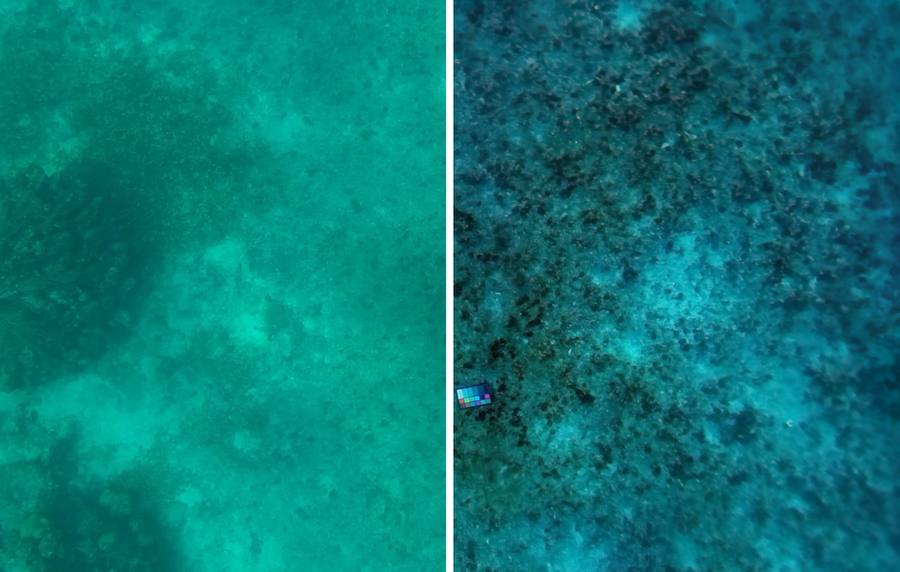 Imaging technique removes the effect of water in underwater scenes 3 MIT SeaSplat 02 press