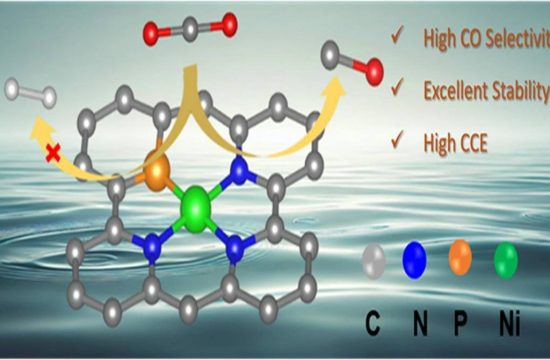 nickel single atom catalyst