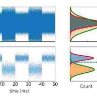 simulated charge sensor signal and its histogram