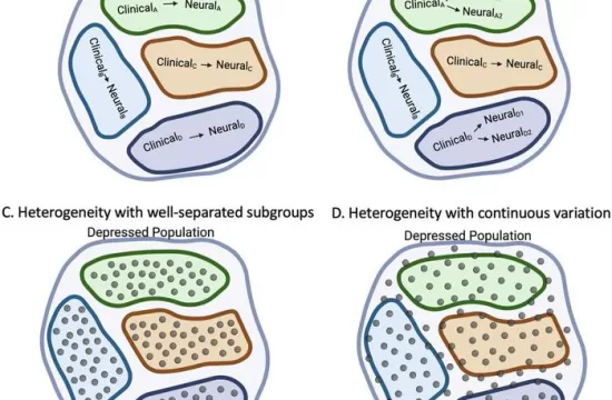 BPS Bijsterbosch Image Resized