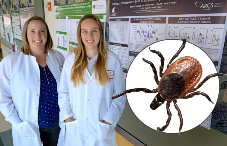 Dana Shaw and Kaylee Vosbigian with inset of tick