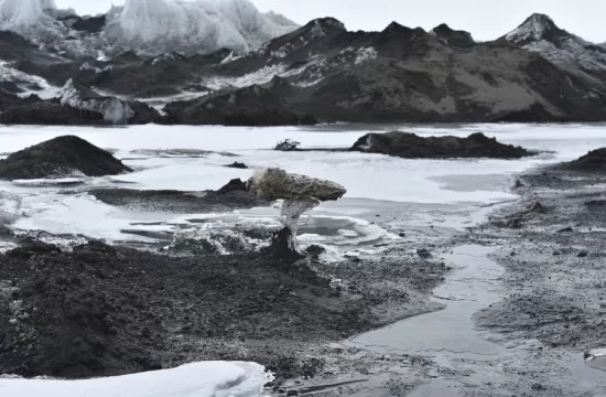 A marine sponge transported from the seafloor to the surface of the McMurdo Ice Sheet in the proximity of meltwater ponds. Credit: Roger Summons
