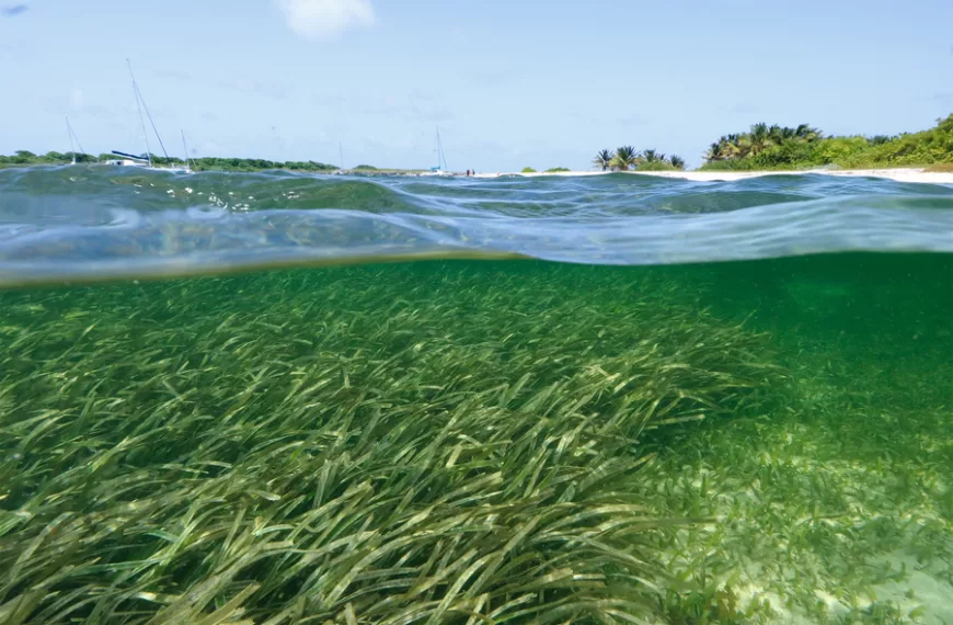 Study helps pinpoint areas where microplastics will accumulate