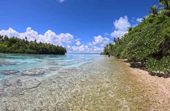 MIT Reef River Tetiaroa01 press 0