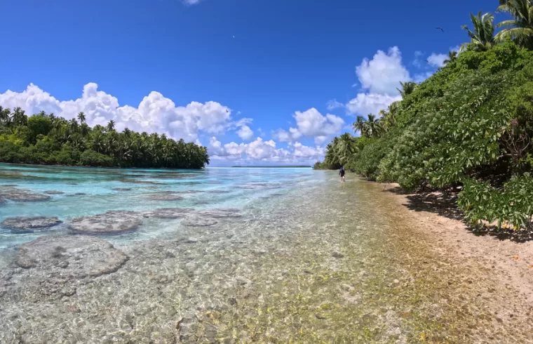 MIT Reef River Tetiaroa01 press 0