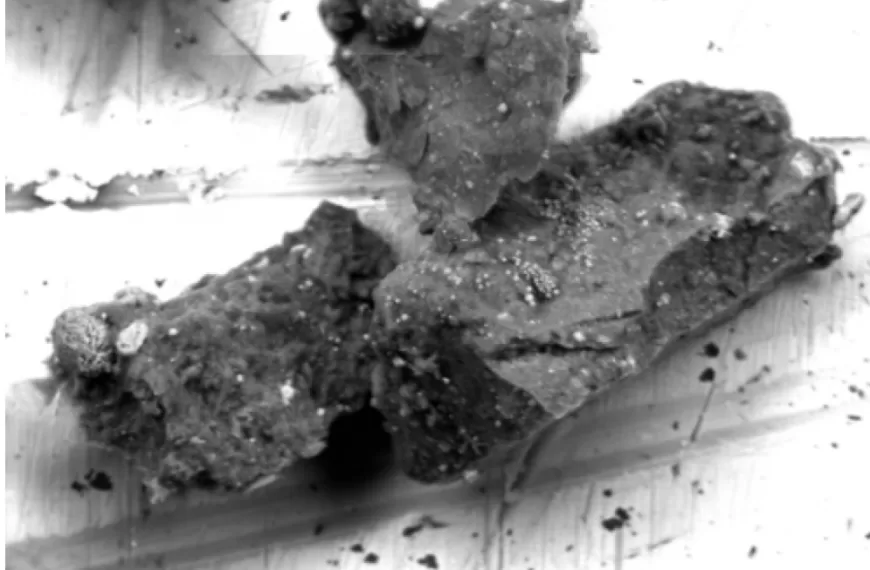 An unexpected mineral in a Ryugu grain