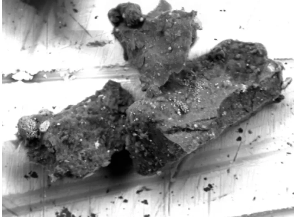 An unexpected mineral in a Ryugu grain 2 Scanning electron micrograph of the number
