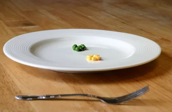 plate dish