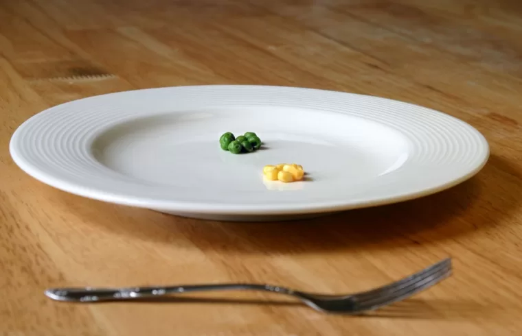 plate dish