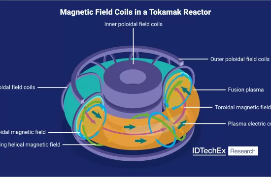 Diagram of the magnetic fields coils and fusion plasma in a tokamak reactor