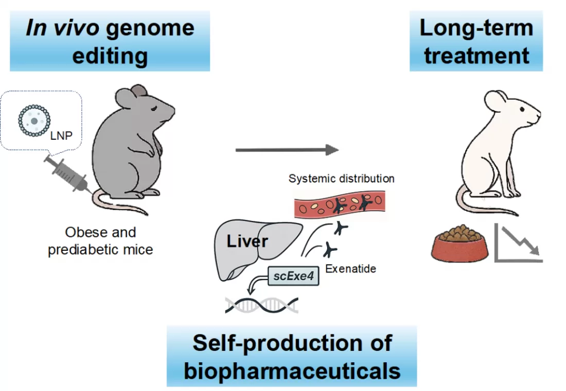 Make-your-own weight-loss drug using an innovative genome editing approach 3 Fig. 1 Suzuki