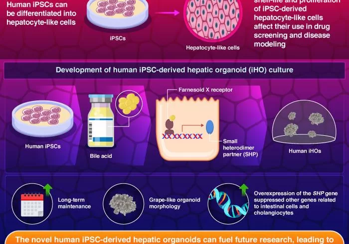 Low Res Infographic